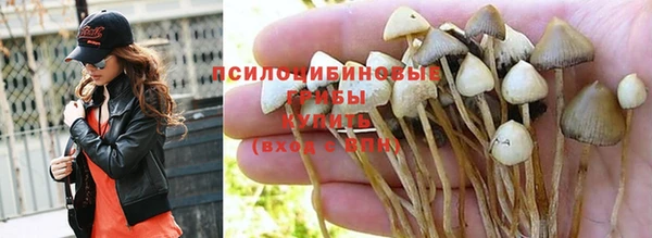 спиды Балабаново
