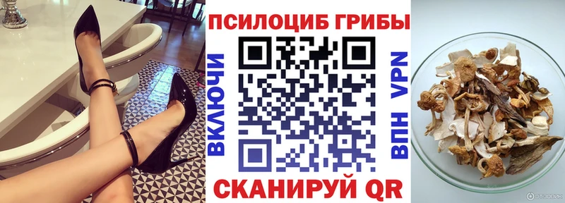 Галлюциногенные грибы прущие грибы  купить  цена  Урюпинск 